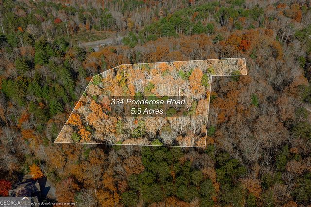 334 Ponderosa Road, Ellijay, GA 30540