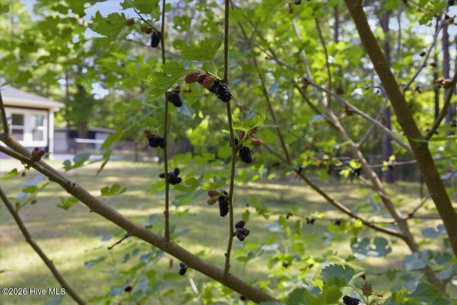 159 Big Macedonia Road NW, Supply, NC 28462