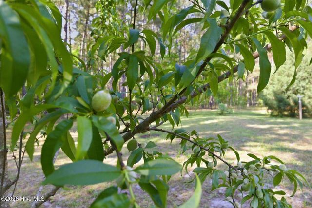 159 Big Macedonia Road NW, Supply, NC 28462