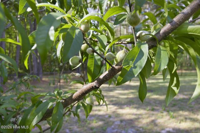 159 Big Macedonia Road NW, Supply, NC 28462