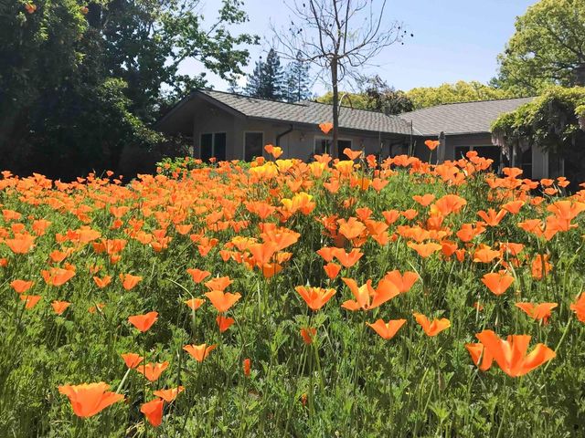 425 Claremont Way, Menlo Park, CA 94025