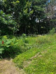 0 Lot 38 Turkey Ridge Road, Wellington, KY 40387