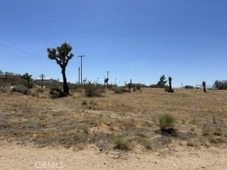 0 Olivine, Phelan, CA 92371