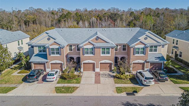 26613 CASTLEVIEW WAY, Wesley Chapel, FL 33544