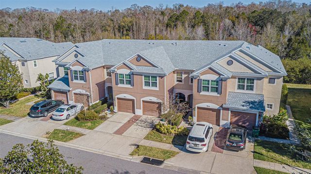 26613 CASTLEVIEW WAY, Wesley Chapel, FL 33544