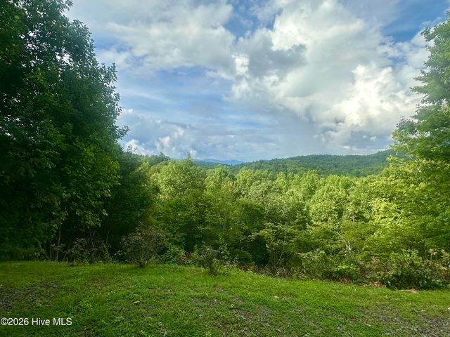 88 Upper Ridge Road, Marble, NC 28905