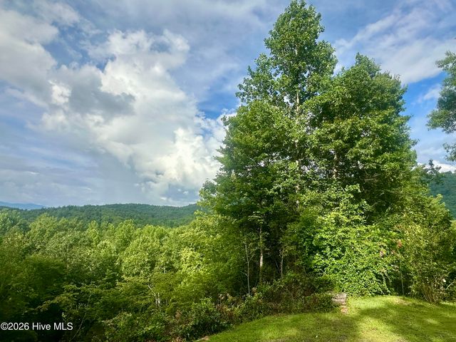 88 Upper Ridge Road, Marble, NC 28905