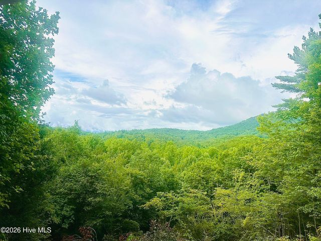 88 Upper Ridge Road, Marble, NC 28905