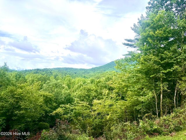 88 Upper Ridge Road, Marble, NC 28905