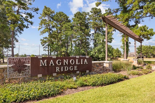 119 Crown Point Court, Magnolia, TX 77354