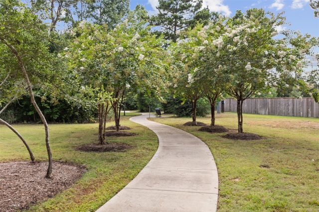 119 Crown Point Court, Magnolia, TX 77354