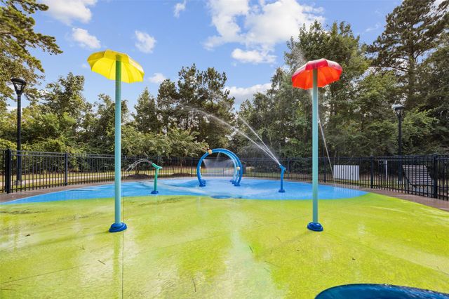 119 Crown Point Court, Magnolia, TX 77354