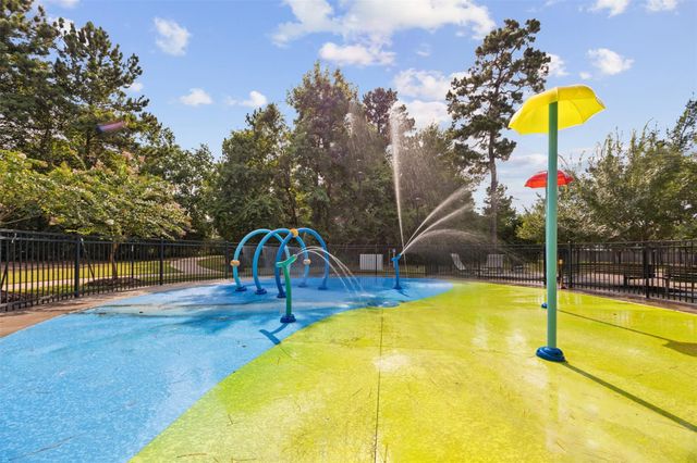119 Crown Point Court, Magnolia, TX 77354