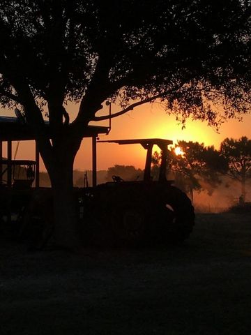 5848 Mieth Road, Sealy, TX 77474