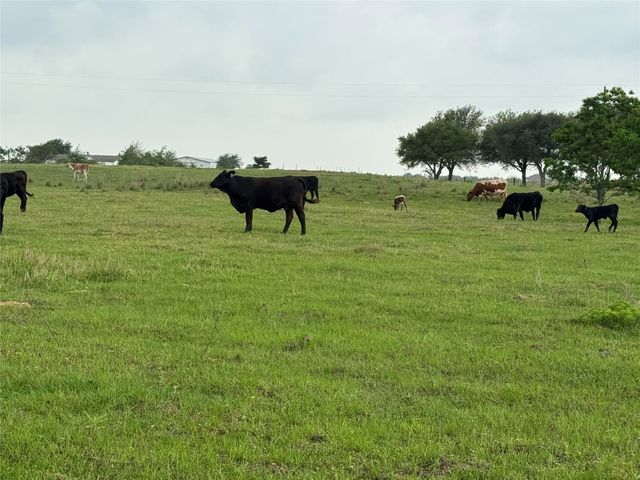 5848 Mieth Road, Sealy, TX 77474