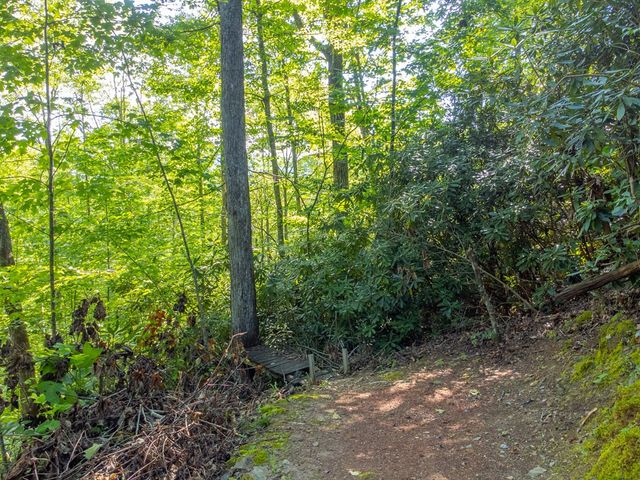283 Briggs Cove Road, Robbinsville, NC 28771