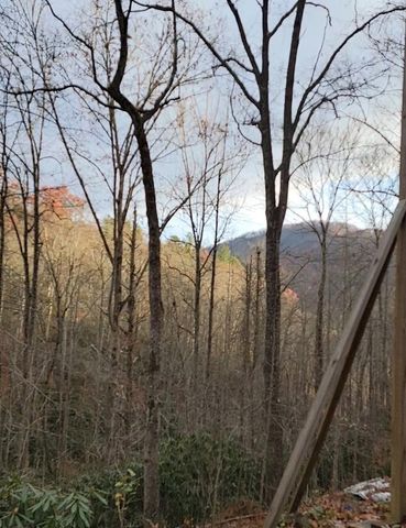 283 Briggs Cove Road, Robbinsville, NC 28771