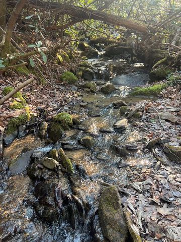 283 Briggs Cove Road, Robbinsville, NC 28771