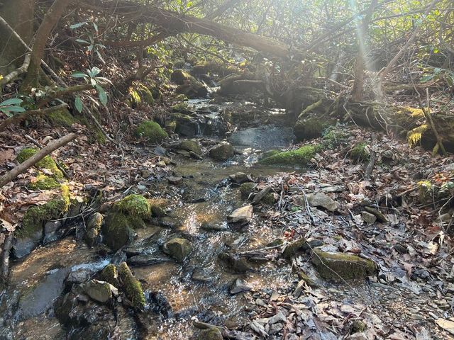 283 Briggs Cove Road, Robbinsville, NC 28771