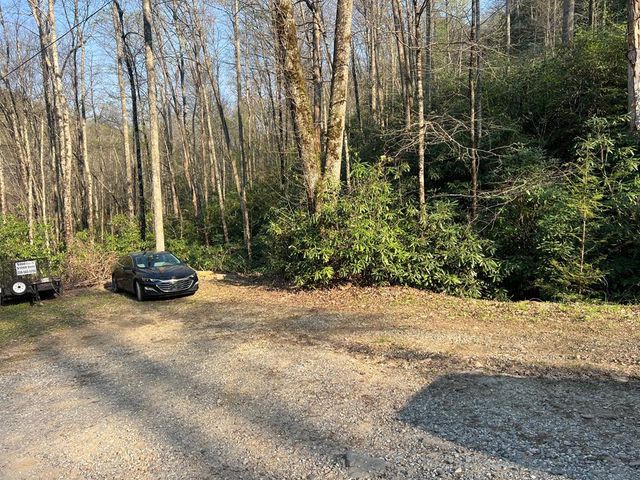 283 Briggs Cove Road, Robbinsville, NC 28771
