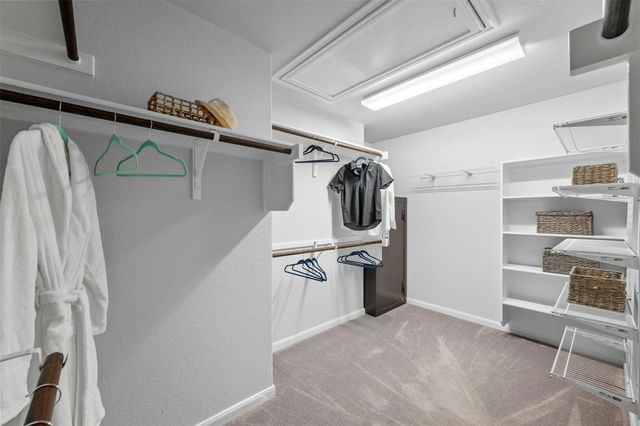 166 Briarpatch CT, Austin, TX 78737