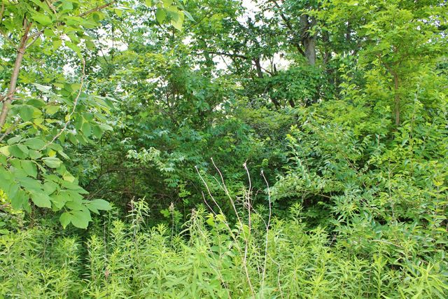 2304 Oakwood Lane, Marseilles, IL 61341