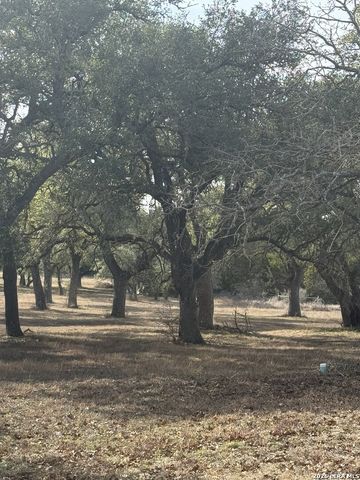 31910 Blanco, Bulverde, TX 78163
