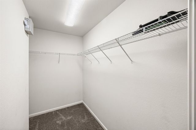 1651 Grable Cove Lane, Spring, TX 77379