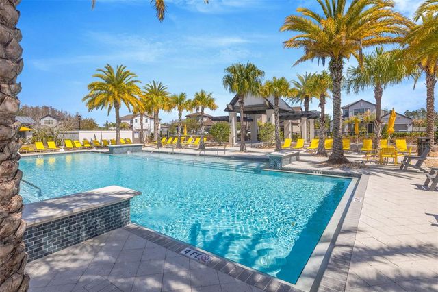 19828 CYPRESS BRIDGE, Odessa, FL 33556