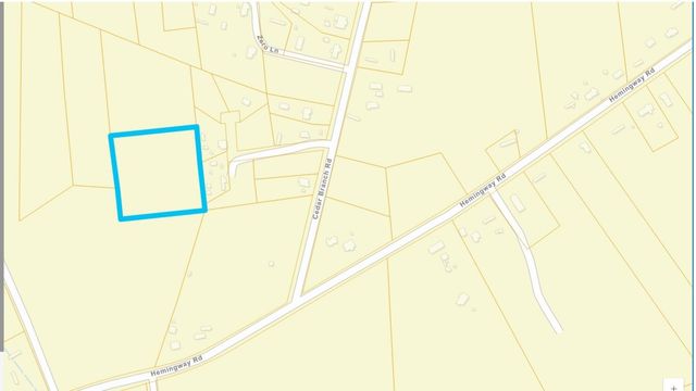 TBD500 Cedar Branch Rd., Loris, SC 29569