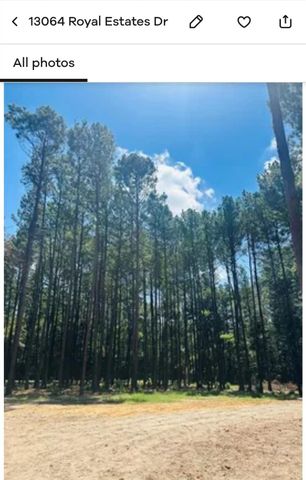 Lot 715 & Lot 716 N Royal Estates Drive, Conroe, TX 77303