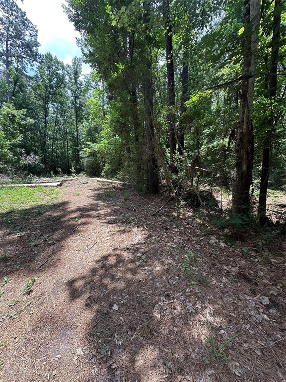 Lot 715 & Lot 716 N Royal Estates Drive, Conroe, TX 77303
