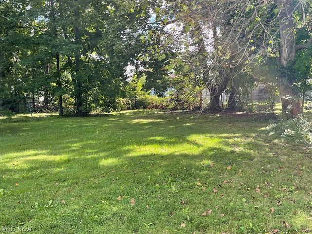 1731 Thornapple Avenue, Akron, OH 44301