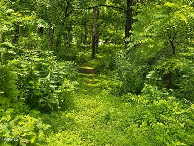 205 Jenkins Hollow Road, Elizabethton, TN 37643