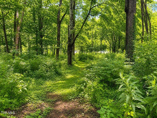 205 Jenkins Hollow Road, Elizabethton, TN 37643