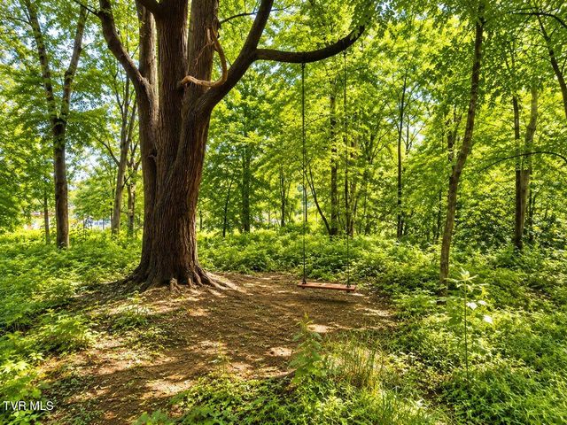 205 Jenkins Hollow Road, Elizabethton, TN 37643