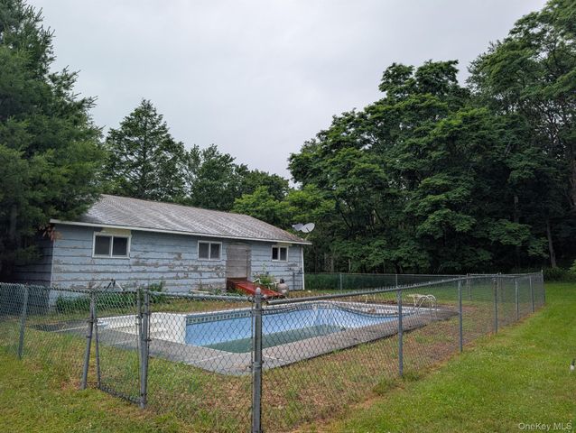 196 Gabriel Road, Cochecton, NY 12726