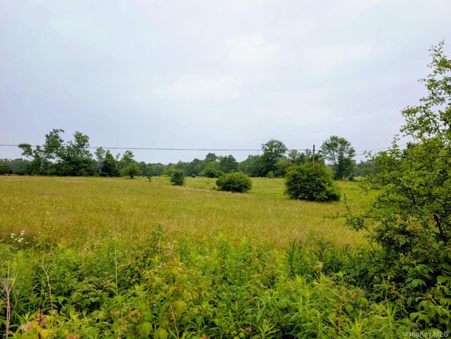 196 Gabriel Road, Cochecton, NY 12726
