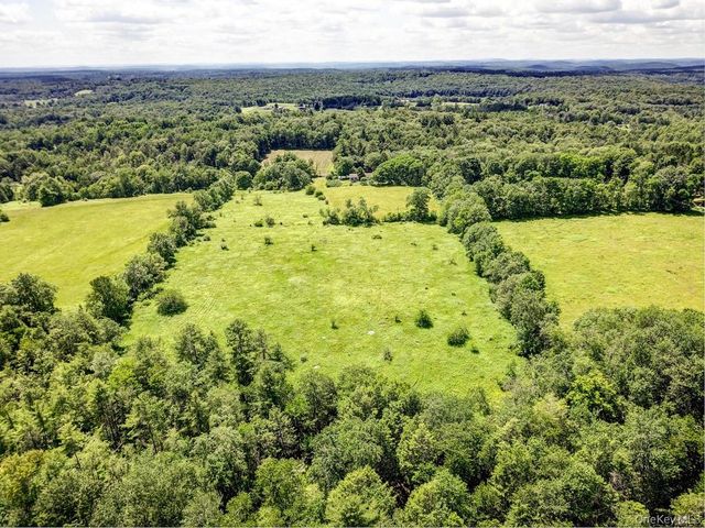 196 Gabriel Road, Cochecton, NY 12726