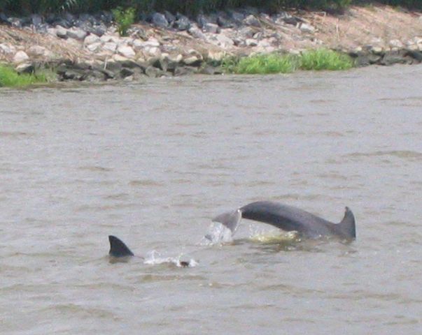 112 Duany Dr., Georgetown, SC 29440