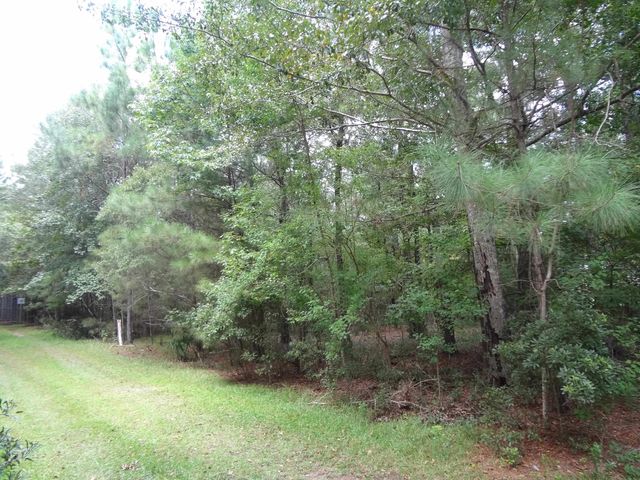 112 Duany Dr., Georgetown, SC 29440