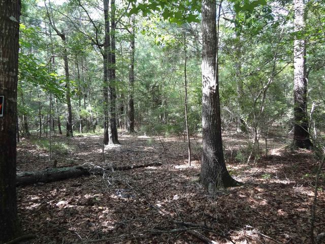 112 Duany Dr., Georgetown, SC 29440