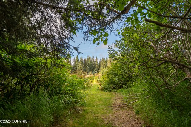 40905 Rucksack Drive, Homer, AK 99603