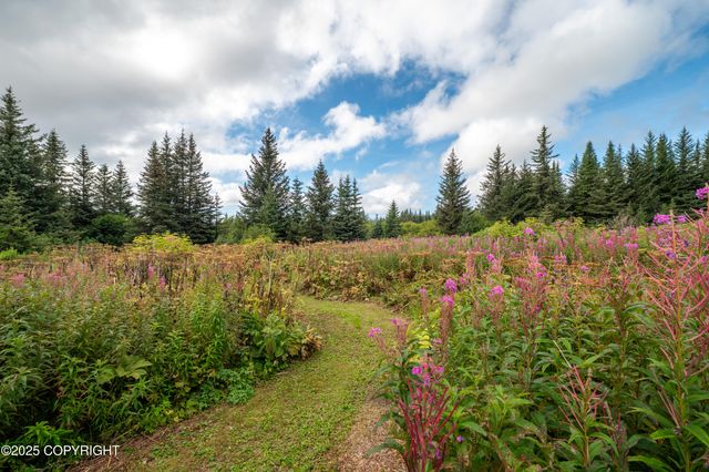 40905 Rucksack Drive, Homer, AK 99603