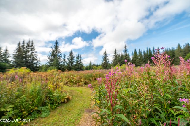 40905 Rucksack Drive, Homer, AK 99603