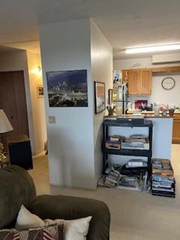 2601 Kenzie Terrace 512, Saint Anthony, MN 55418