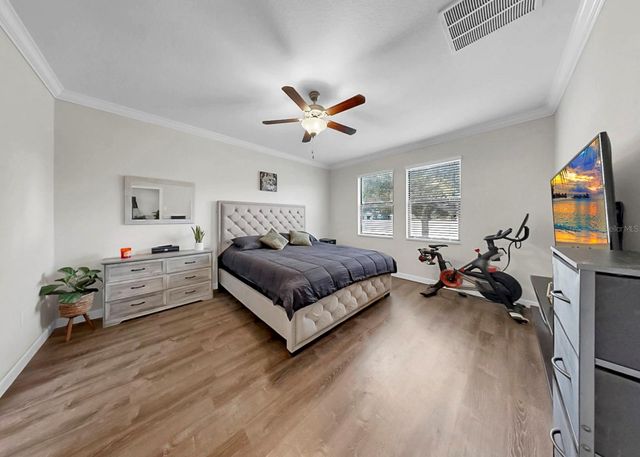 12203 BALLENTRAE FOREST DRIVE, Riverview, FL 33579