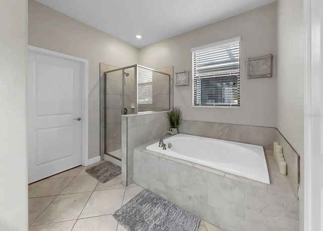 12203 BALLENTRAE FOREST DRIVE, Riverview, FL 33579