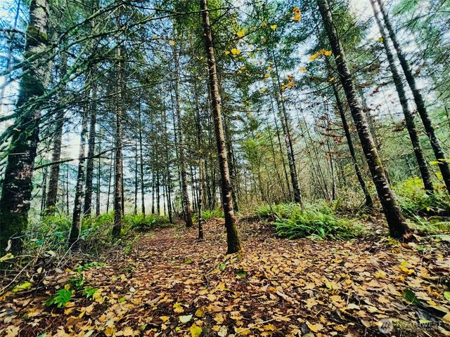 1412 Centralia Alpha Road, Chehalis, WA 98532