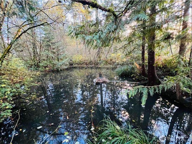 1412 Centralia Alpha Road, Chehalis, WA 98532